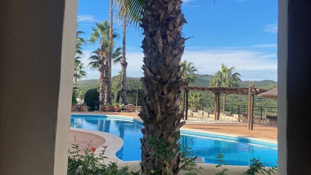 Blick auf einen Swimmingpool mit Palmen und einer Pergola im Hintergrund.
