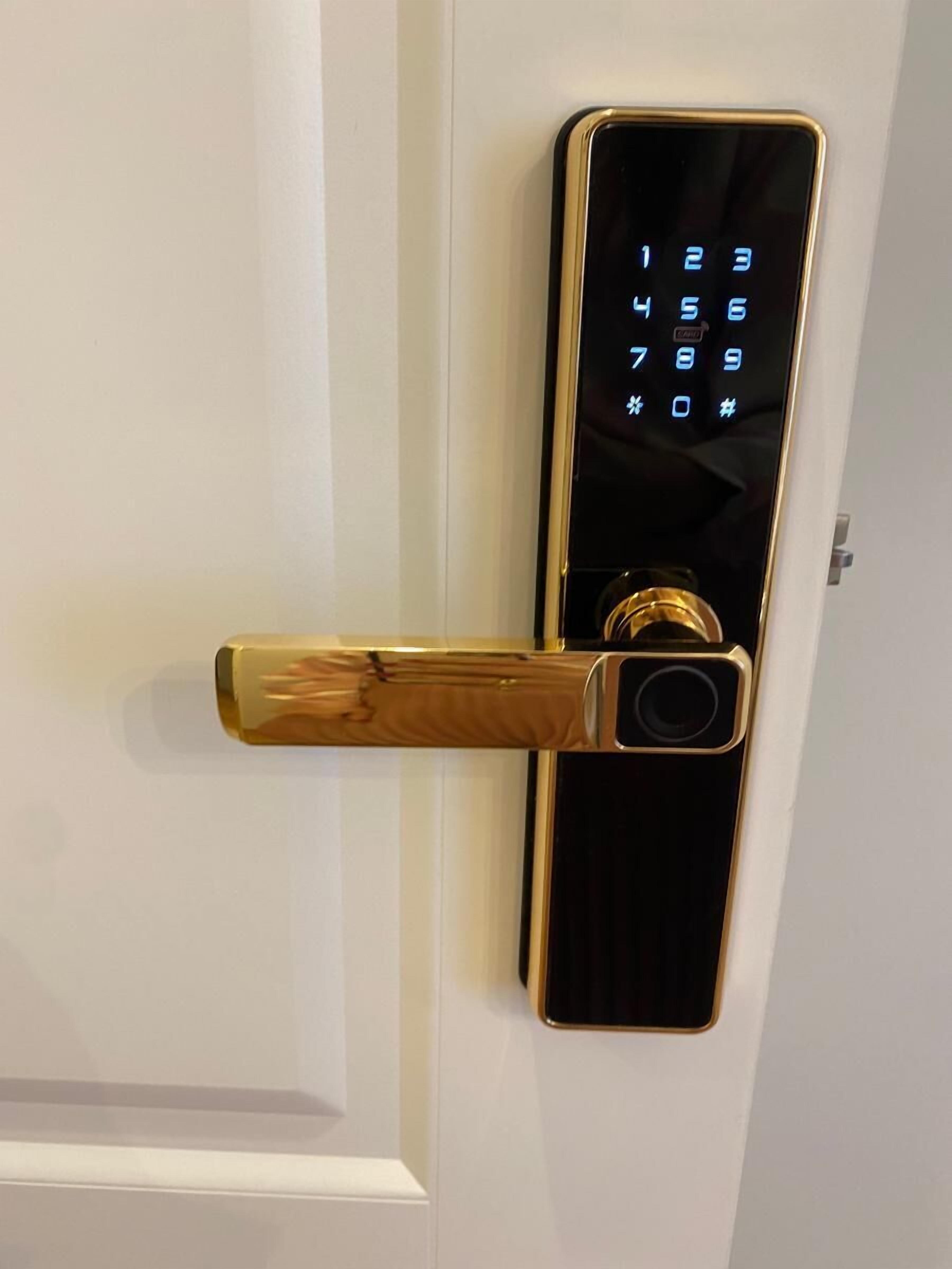 A modern door with a digital keypad lock and a gold-colored handle.