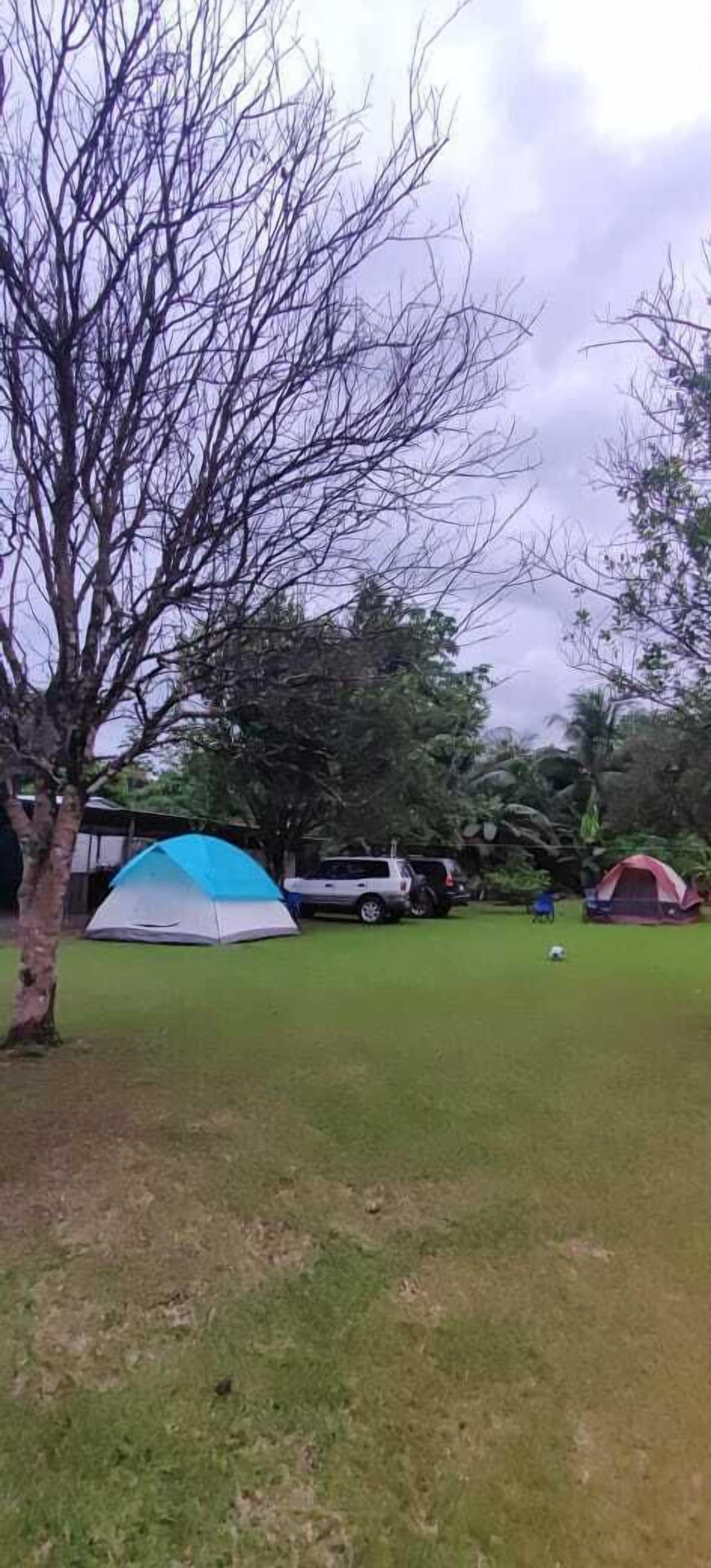 Un espacio cubierto de césped con tiendas de campaña y un árbol.