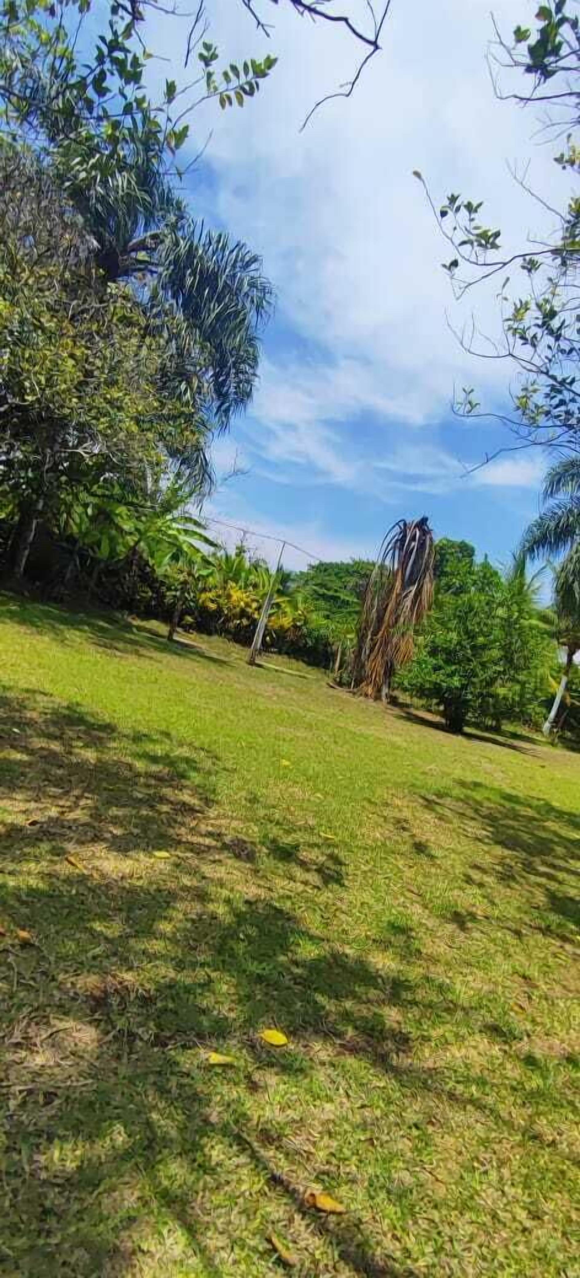 Basic Tent | 10 bedrooms, free WiFi