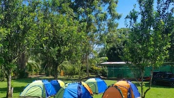 Tenda Basic | 10 camere, Wi-Fi gratuito