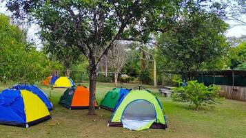 Tenda Basic | 10 camere, Wi-Fi gratuito