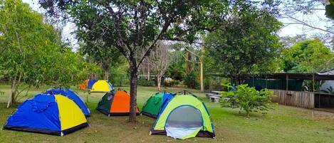 Basic Tent | 10 bedrooms, free WiFi