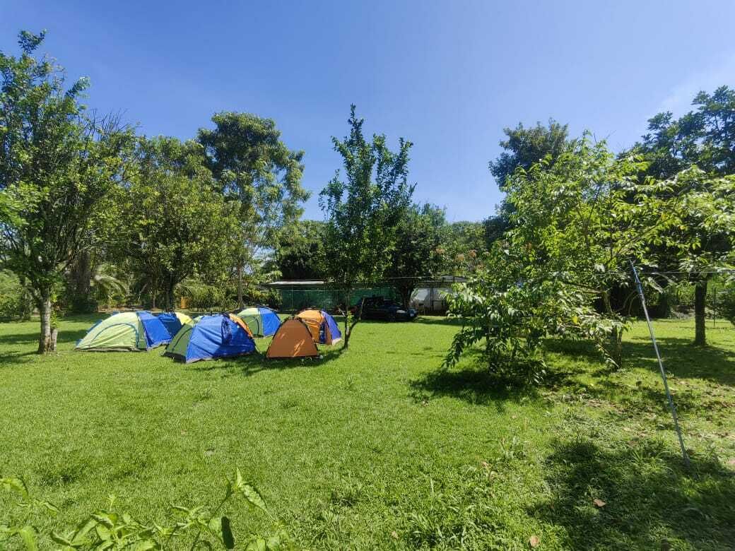 A grassy area with several tents set up.