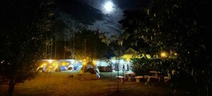 A campsite at night with tents, a dining area, and a large tree in the foreground. - Zompopas Trail (Puerto Jiménez)