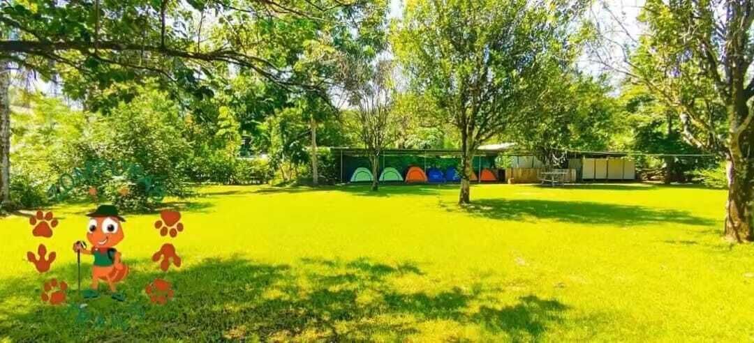 Basic Tent | 10 bedrooms, free WiFi