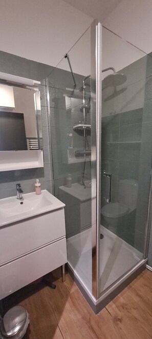 Shower, hair dryer, soap, toilet paper - Nice studio, near beach and market in Pornichet (Pornichet)