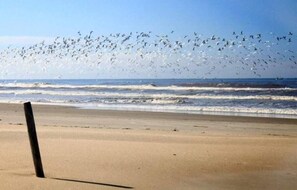 Beach nearby, white sand, 2 beach bars