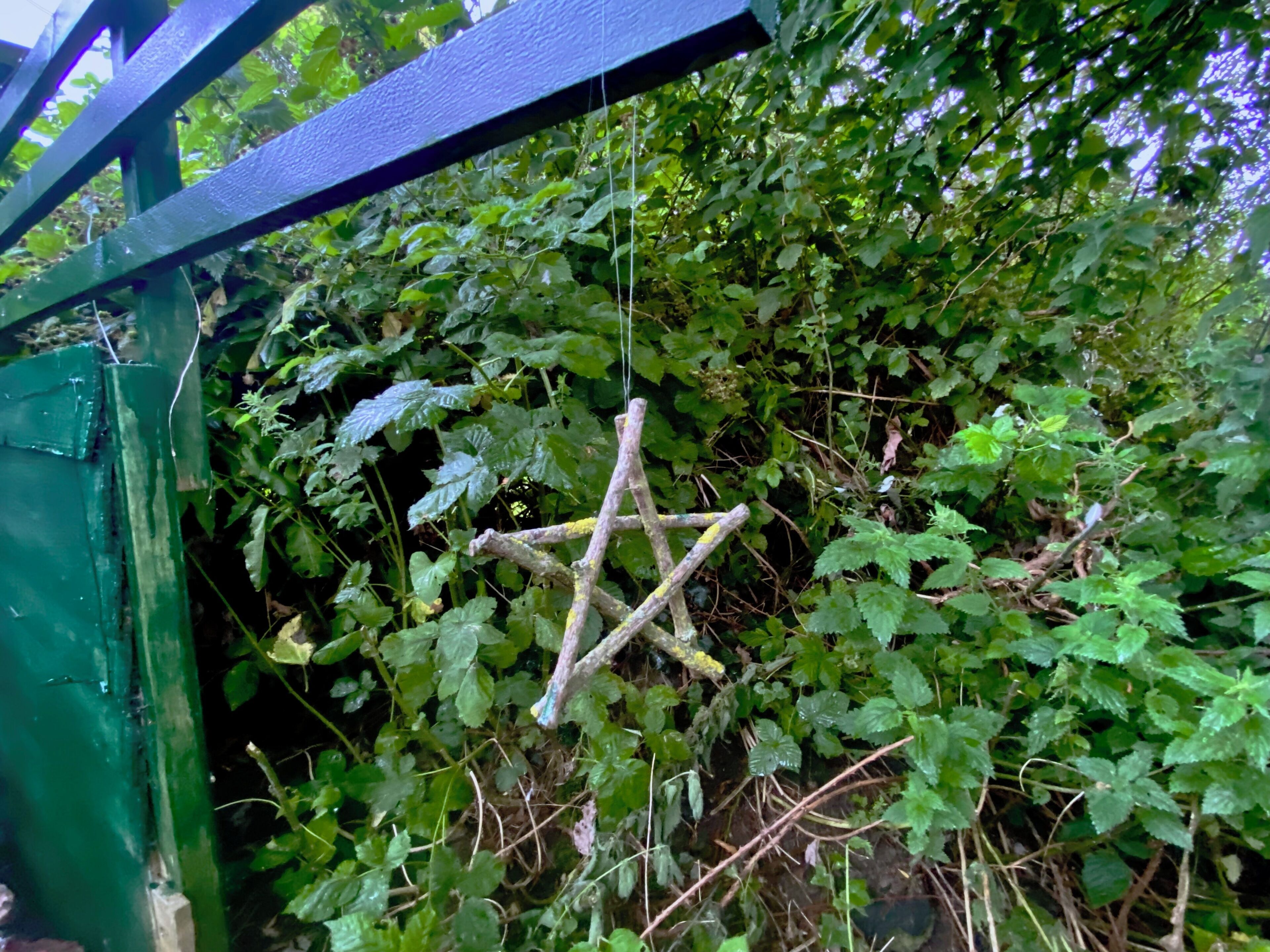 A wooden star hanging amidst dense green foliage.