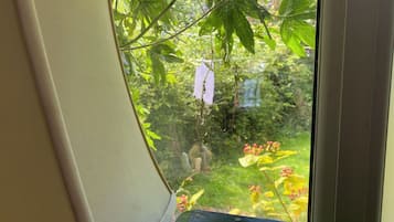 A window with a view of a garden, including a tree with hanging laundry and a bird feeder.