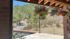 A covered patio with hanging flower planters, a view of a winding road, and a natural landscape with trees and shrubs. - VILLA AURA (Πλάτρες)