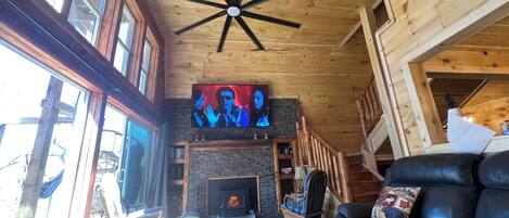 Smart TV, fireplace, books, video library