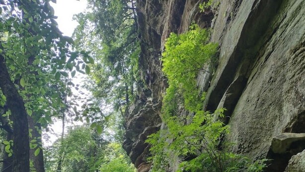 A stone staircase leading up a rocky path surrounded by lush greenery. - Cabin in the TreeTops! 4 Level a-frame cabin, with 5 levels of decks (Lancaster)