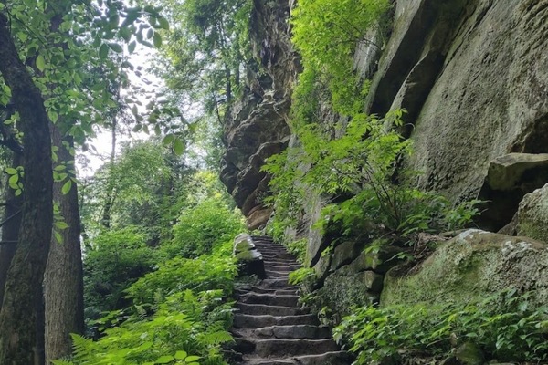 Parco della struttura