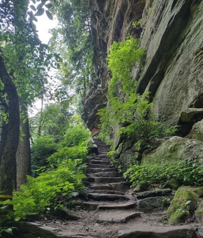 A stone staircase leading up a rocky path surrounded by lush greenery. - Cabin in the TreeTops! 4 Level a-frame cabin, with 5 levels of decks (Lancaster)