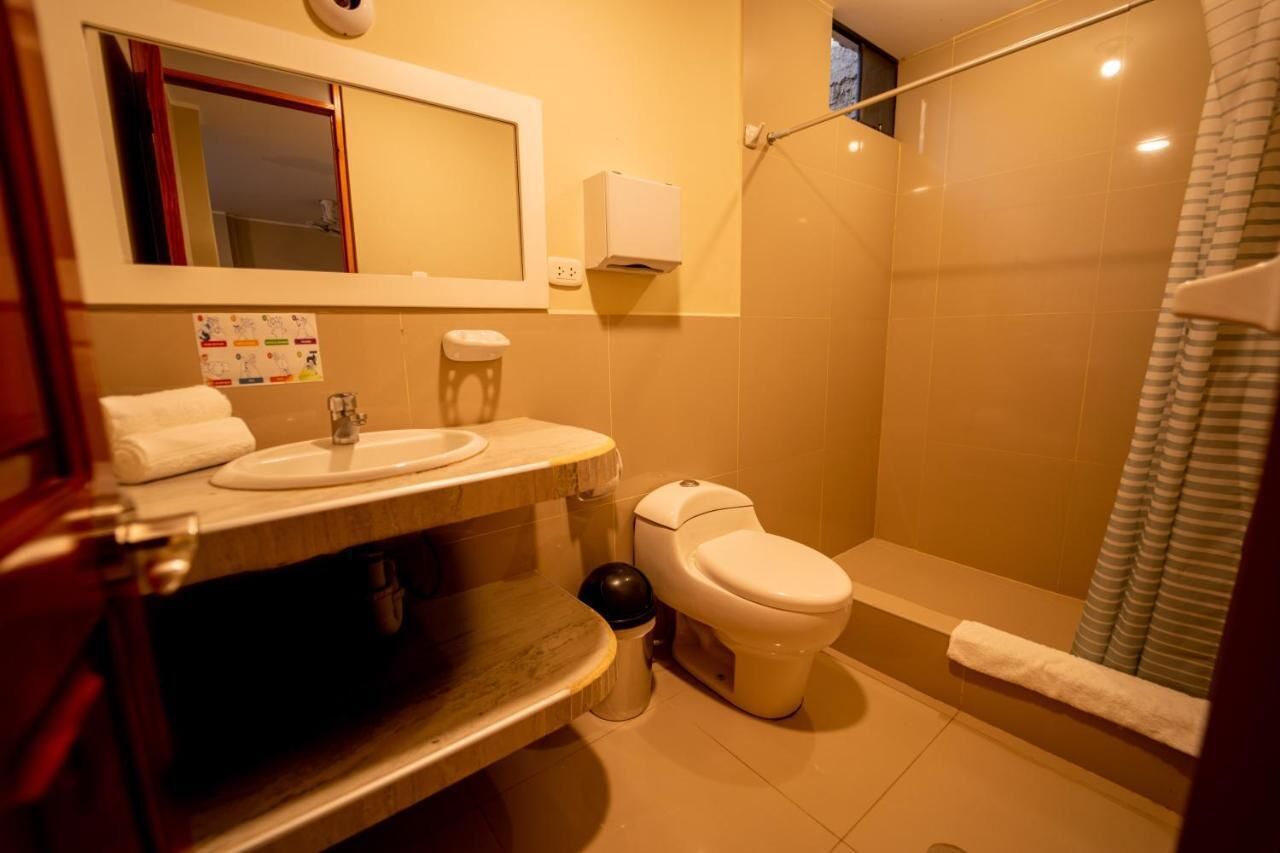 Un baño con lavabo, espejo, inodoro y ducha.