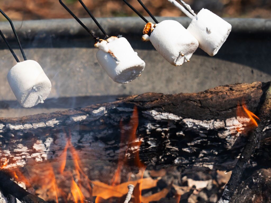 Des guimauves grillées au-dessus d’un feu de camp.