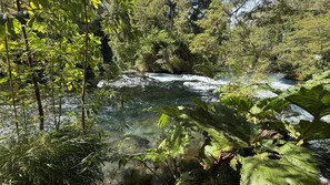 Un paysage naturel avec une rivière sinueuse, entouré d’une végétation luxuriante et d’arbres.