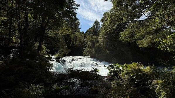 Una cascata immersa in una fitta foresta.
