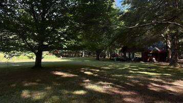 Un parc avec un grand arbre, un petit bâtiment et une zone herbeuse.
