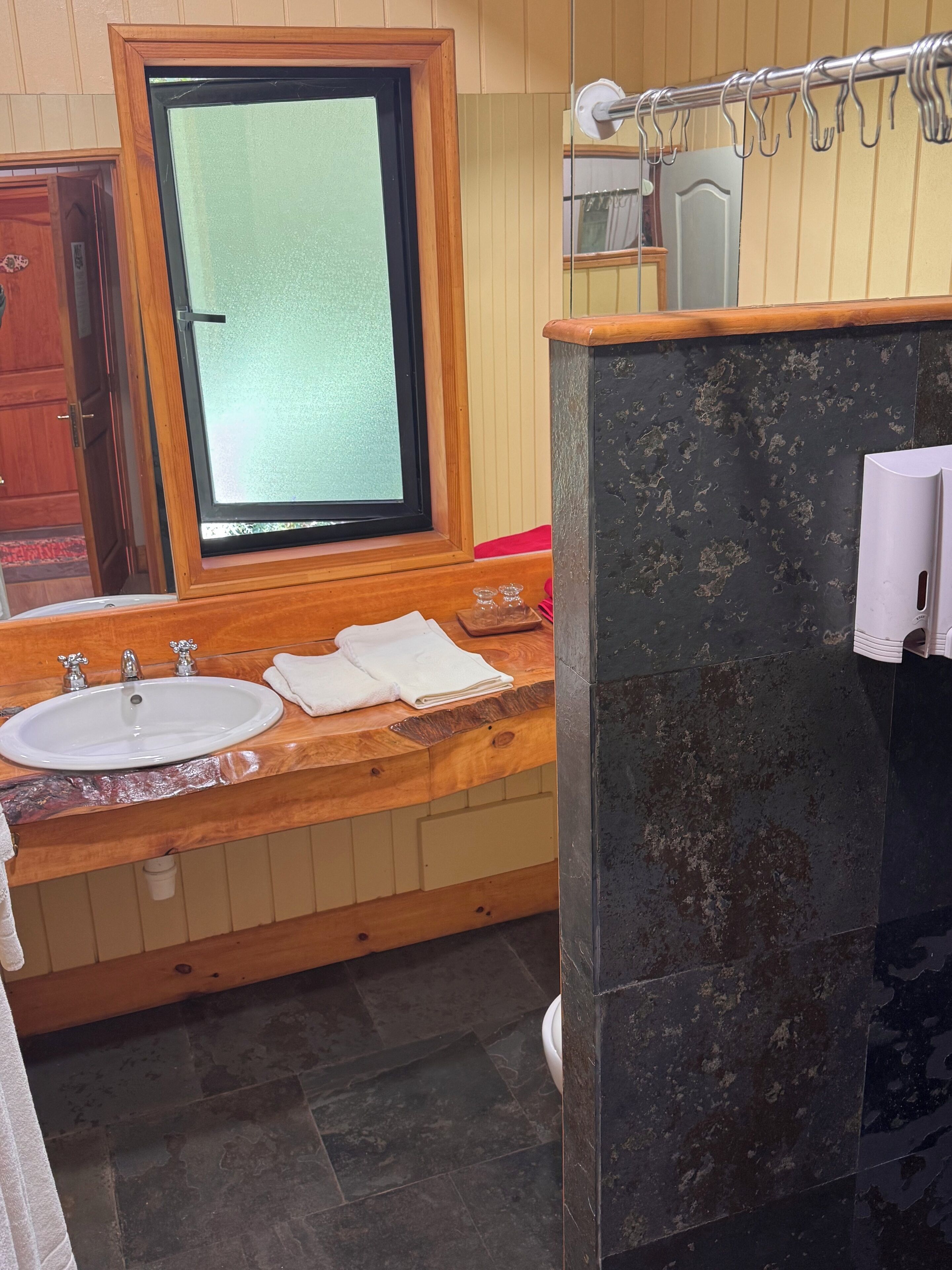 Ducha, secador de pelo, toallas, jabón