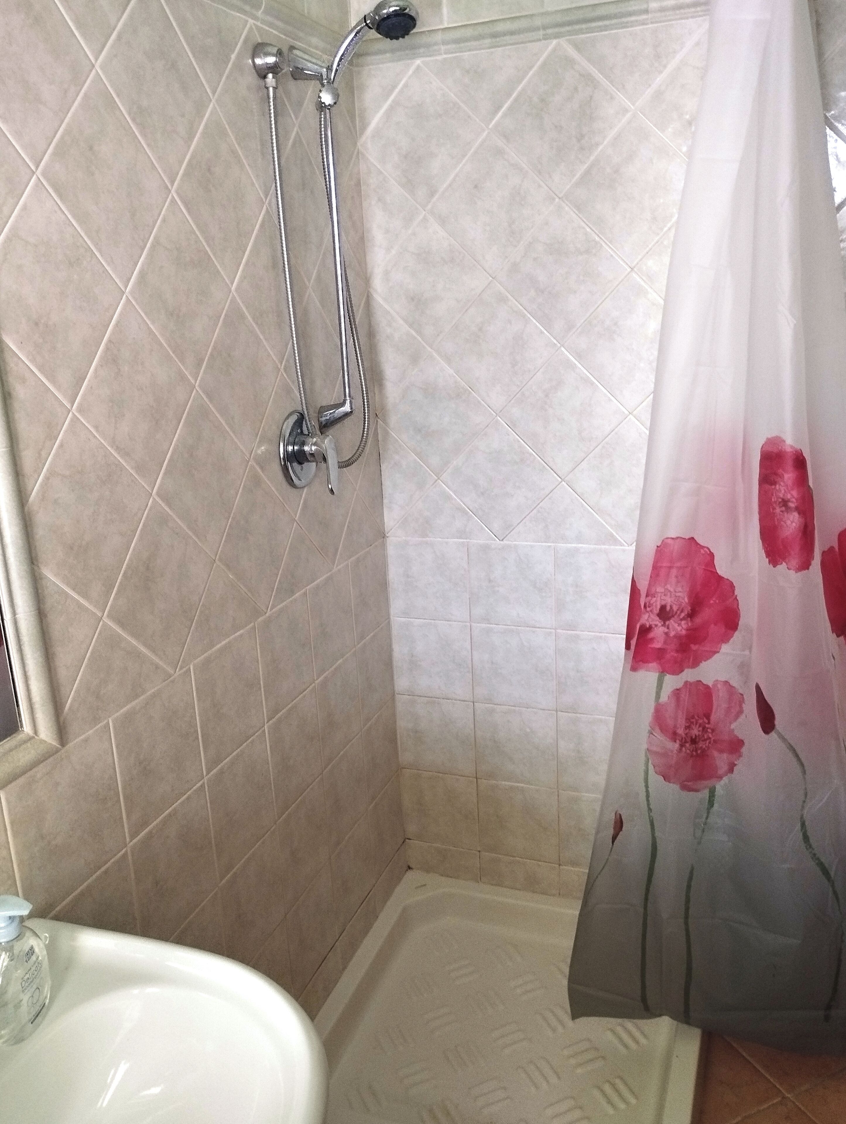 Shower, bidet, towels, soap