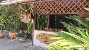 A reception area with a wooden pergola, a sign reading "RECEPTION", and a wall with a large rock and a series of round objects.