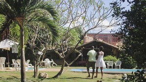 Un espacio al aire libre tropical con piscina, palmeras y mobiliario exterior.