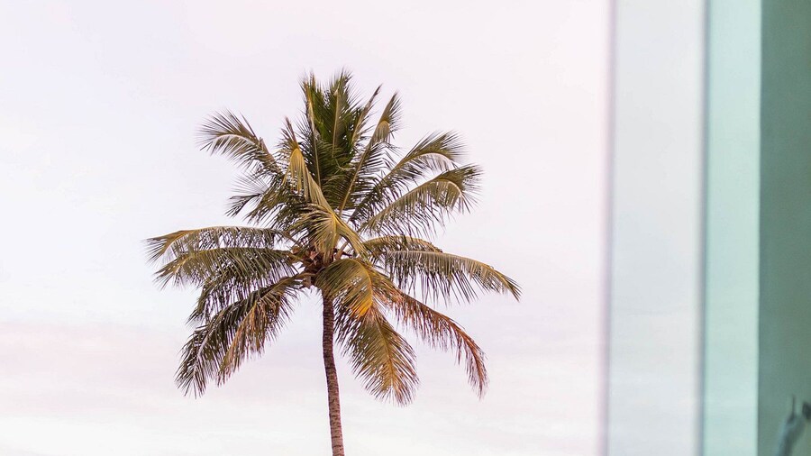 FLATS MAR'BELLA COM VARANDA, 100M PRAIA, PETFRIENDLY E ESTACIONAMENTO