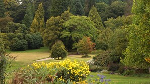 Visit Killerton House with its beautiful surrounding gardens