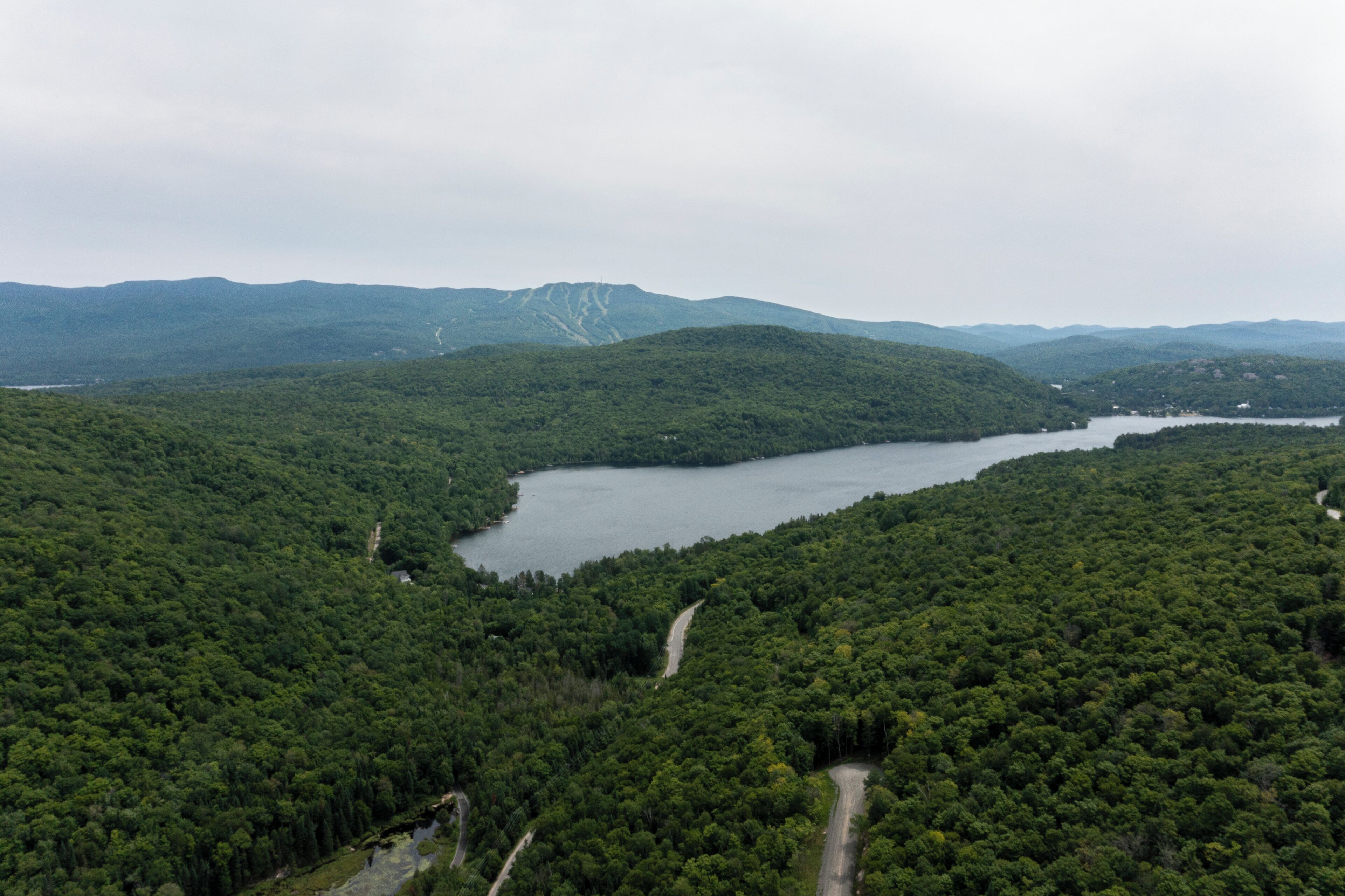 A forested area with a lake and a road.