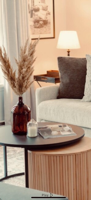 Smart TV, fireplace, books, stereo