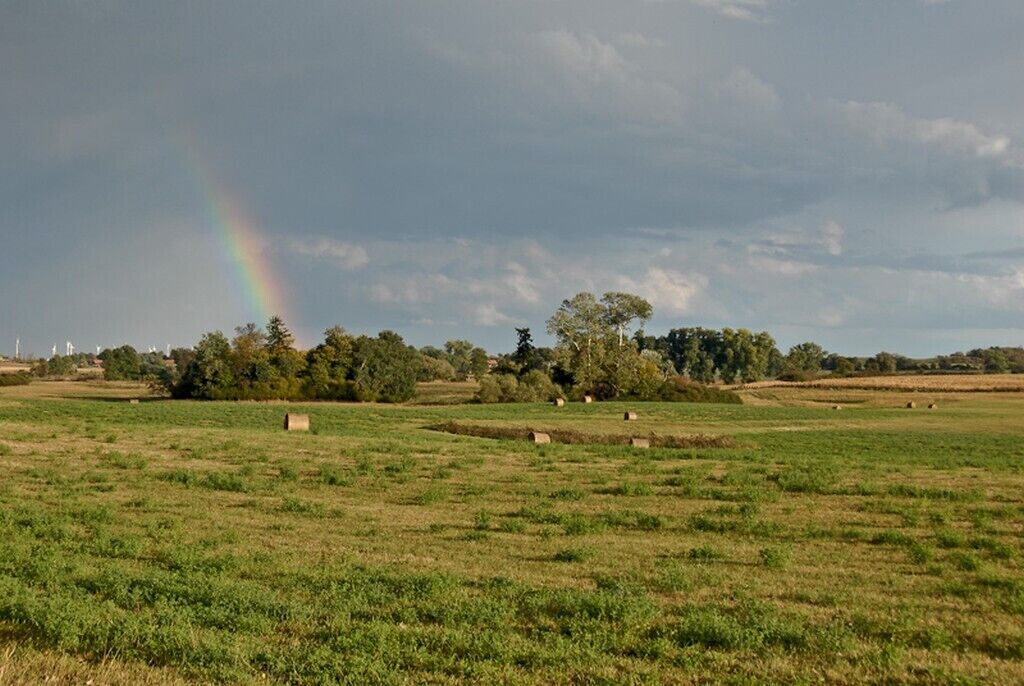 Paisaje rural con campos, árboles y un arcoíris.