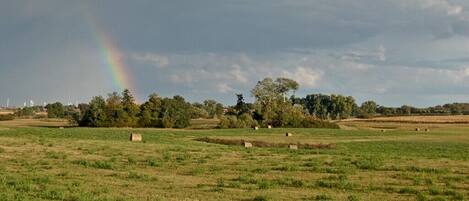 Paisaje rural con campos, árboles y un arcoíris.