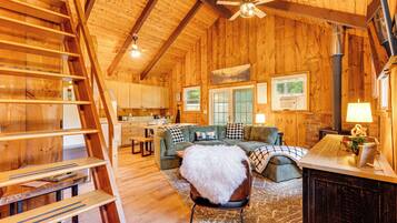 TV, fireplace, books