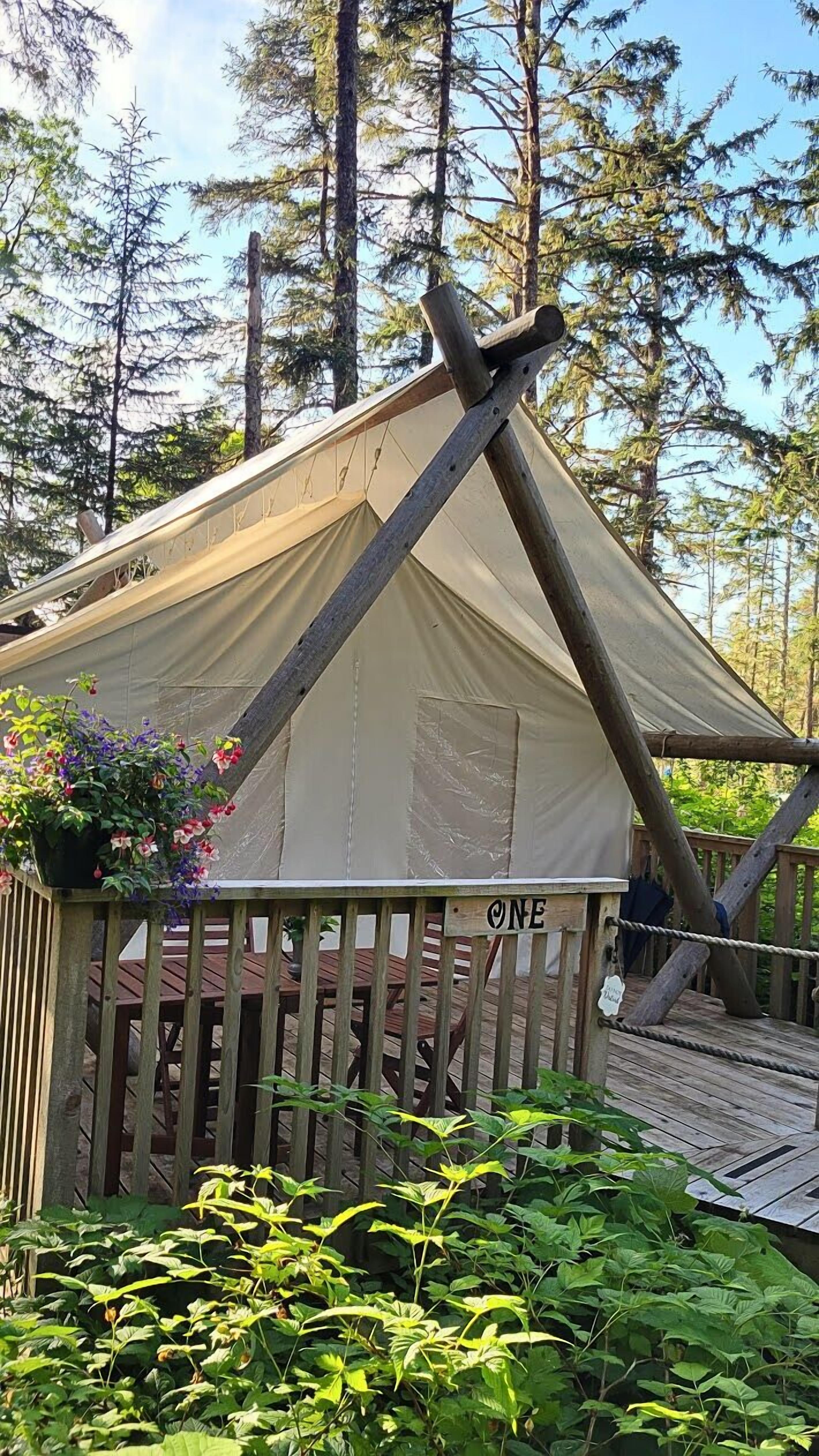 A wooden deck with a tent structure, surrounded by dense forest.