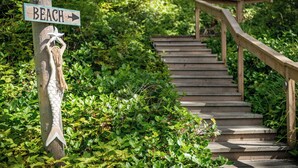 Una escalera de madera que conduce a una playa, rodeada de abundante vegetación.