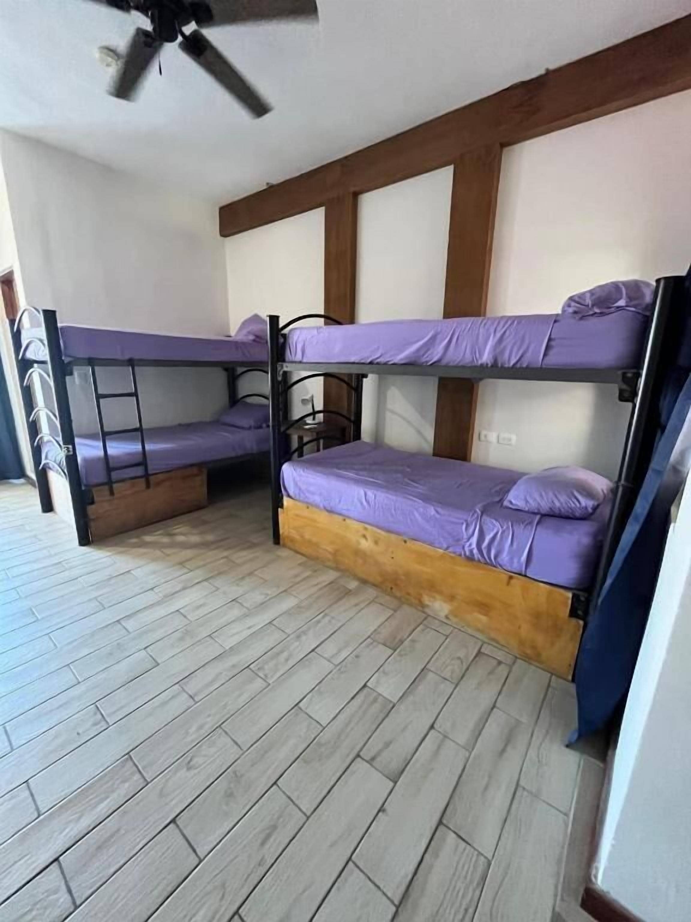 Basic Shared Dormitory | Free WiFi