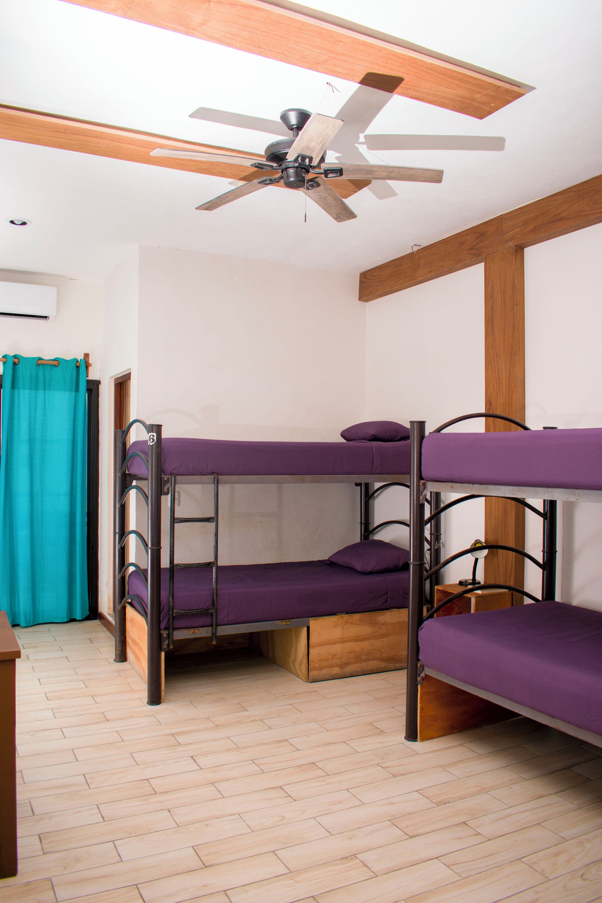 Basic Shared Dormitory | Free WiFi