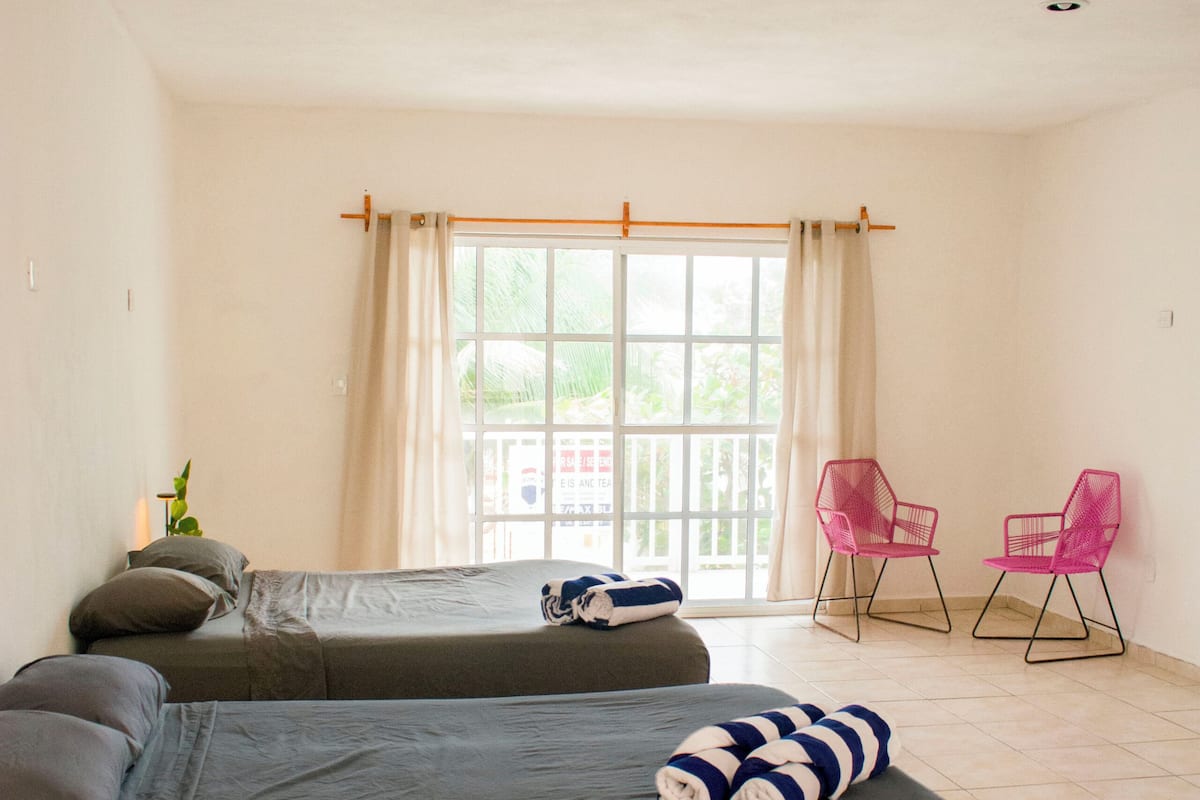A room with two beds, a window with curtains, a plant, and two pink chairs.