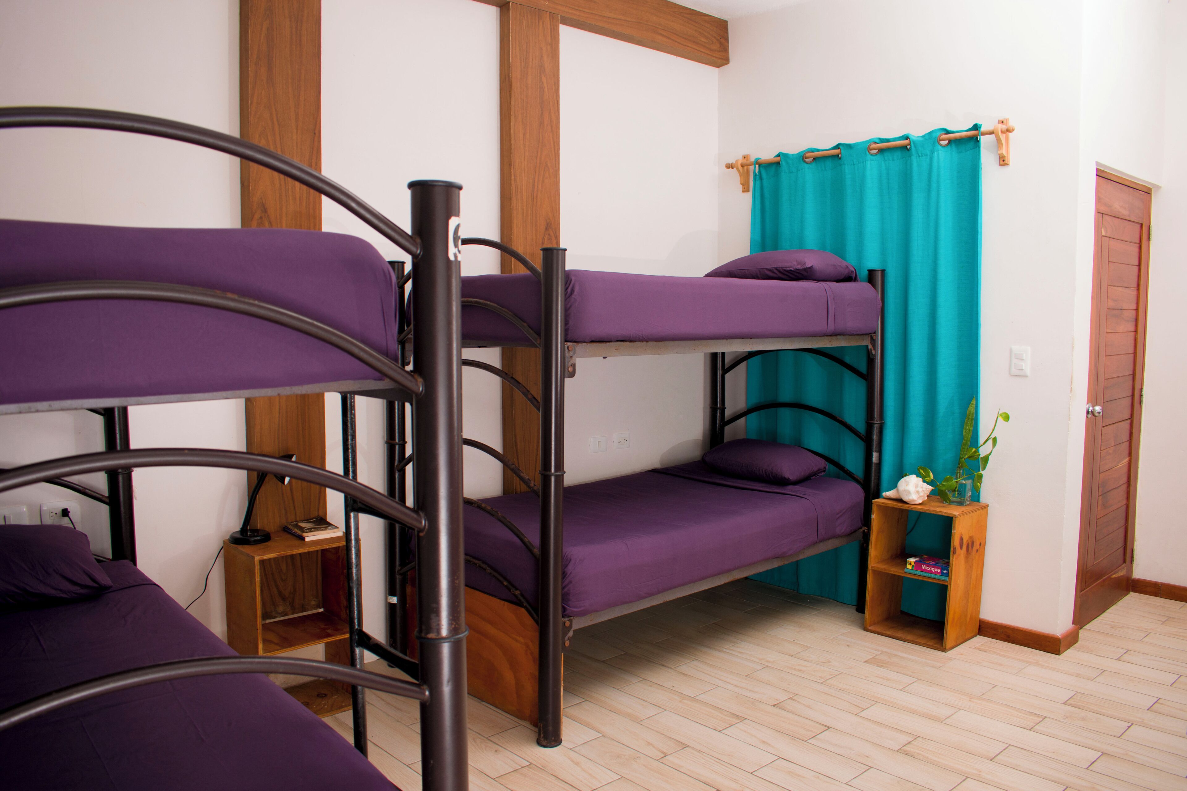 Une chambre avec un lit superposé, une étagère en bois et une petite plante.