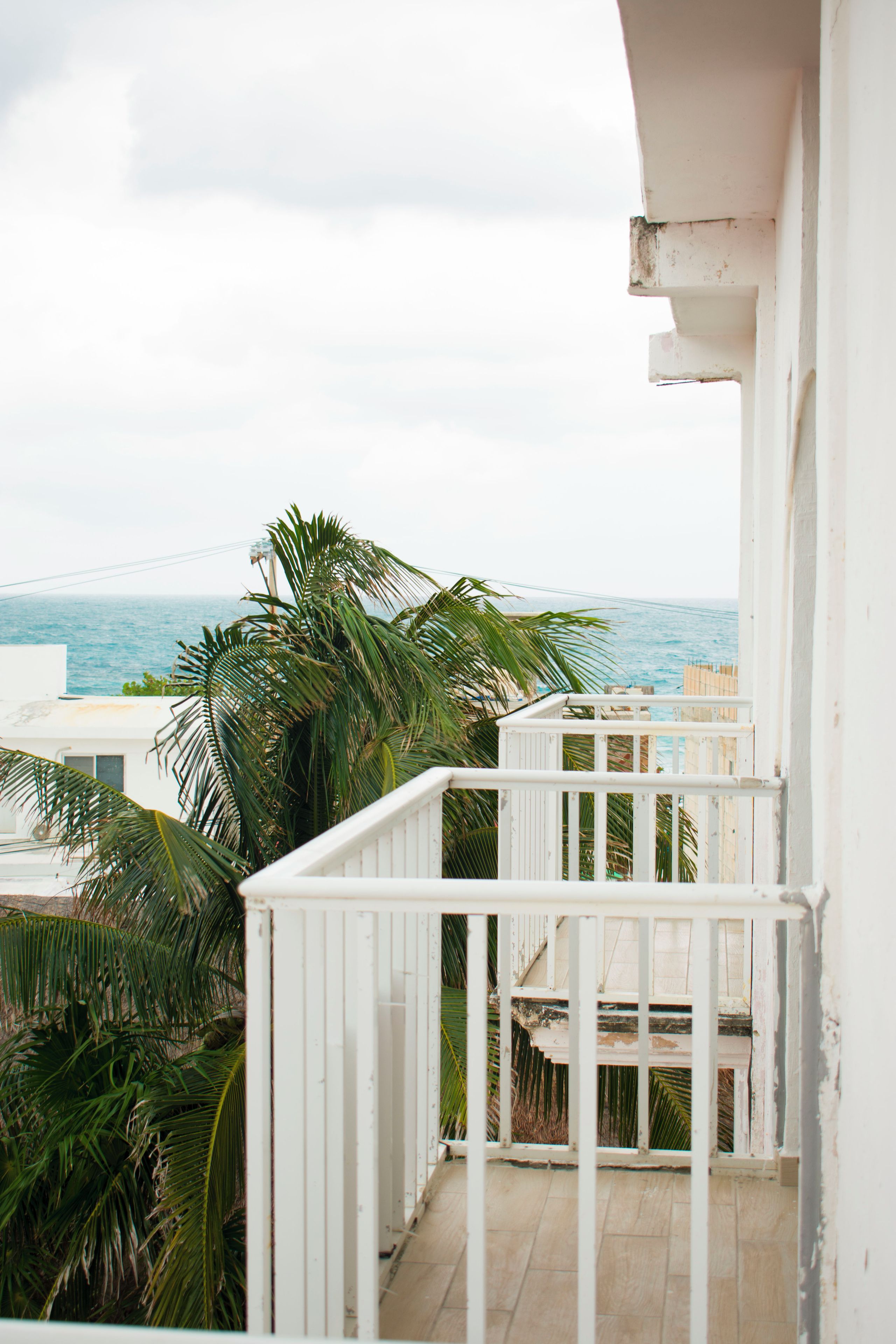 Un balcon avec vue sur la mer, entouré de palmiers.