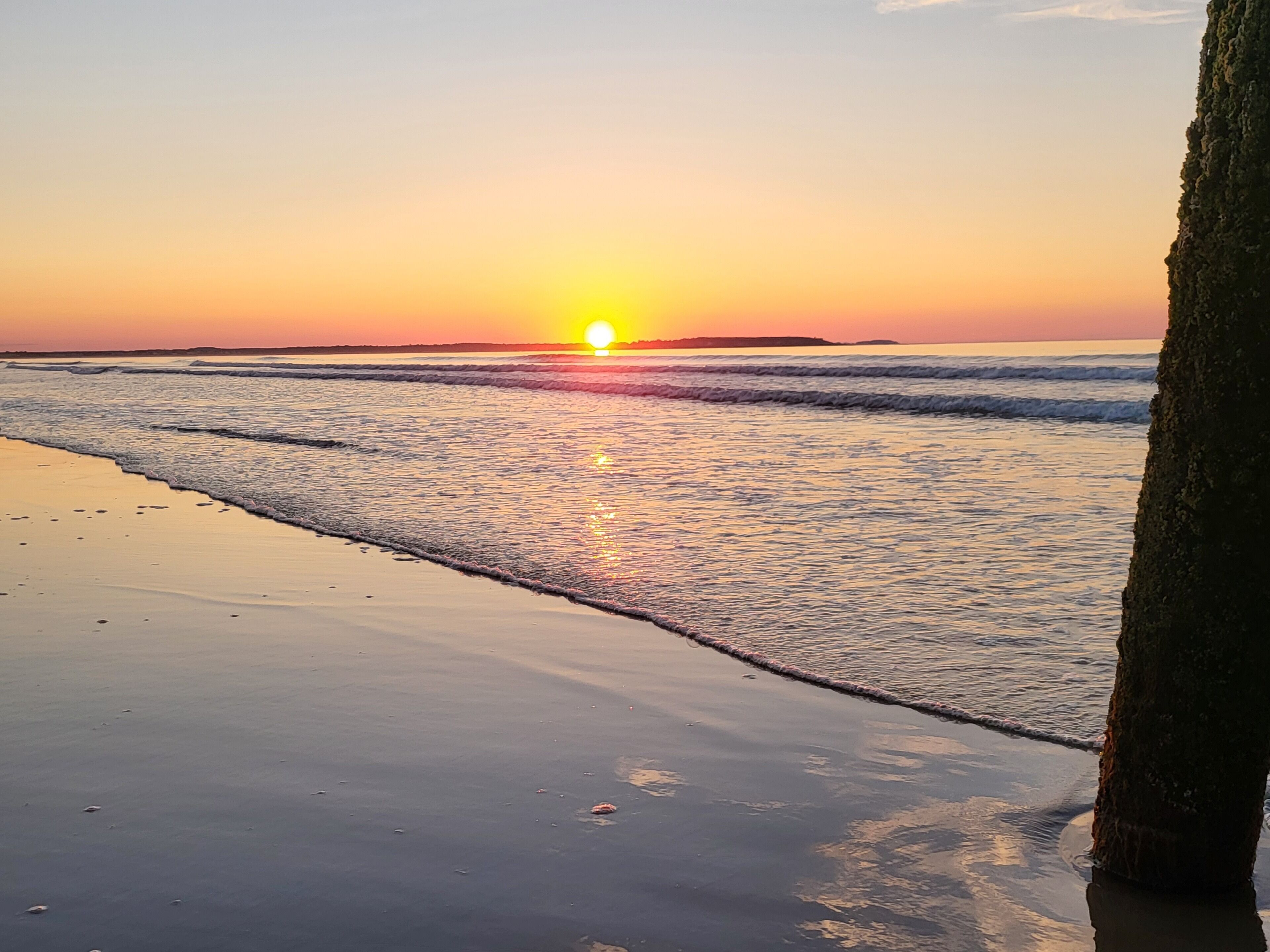 Een strandzicht met de zon die ondergaat boven de oceaan, golven die zachtjes op het strand komen en een boomstam op de voorgrond.
