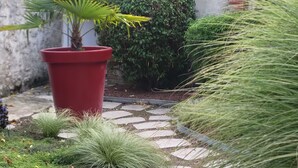 Uma trilha de pedra leva a um cachepot vermelho com uma planta semelhante a uma palmeira.