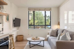 Fernseher, Arbeitsbereiche