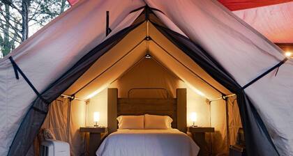 Under the Stars at The Hideout