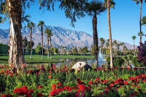 Golf - Two Resort Style Homes Steps from Each Other, 7 Bedrooms, Pool, Hot Tub, Misters (Cathedral city)