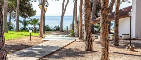 A pathway leading to a building with a view of the sea, surrounded by trees and a well-maintained lawn.
