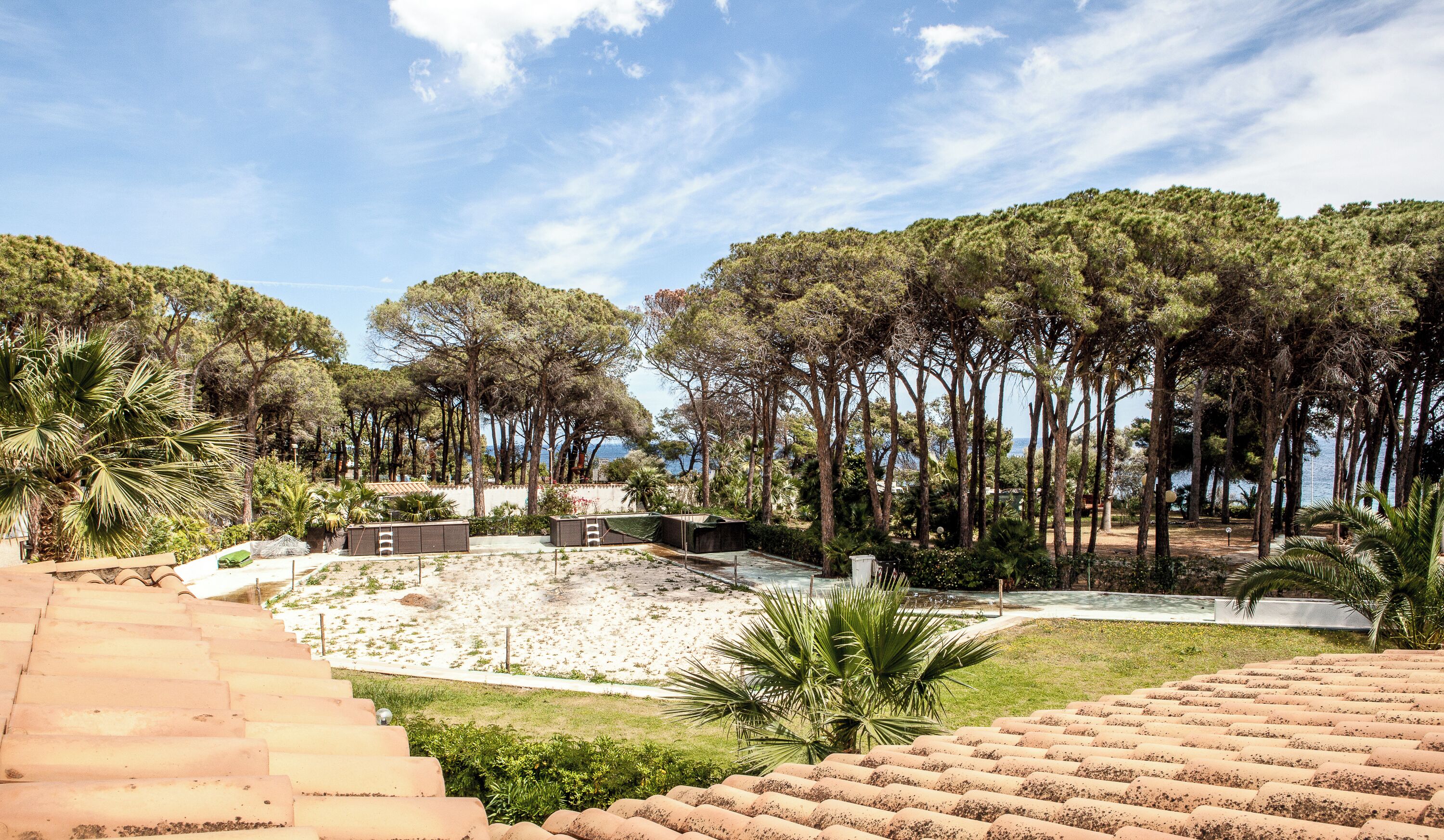 A coastal area with a sandy beach, a staircase leading down, and a row of tall trees.