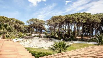 A coastal area with a sandy beach, a staircase leading down, and a row of tall trees.